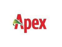 Apex Footwear